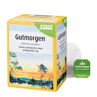 GUTMORGEN Kräutertee m.natürlich.Aroma Salus Fbtl. - 15St