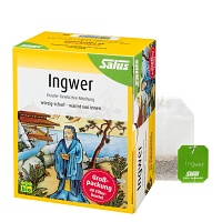INGWER KRÄUTER-GEWÜRZTEE-Mischung Bio Salus Fbtl. - 40St