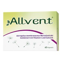 ALLVENT Kapseln - 60St - Allergie allgemein