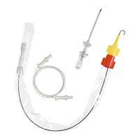 CAVAFIX CERTODYN Vena jugul.1,1x1,7 45cm - 1St