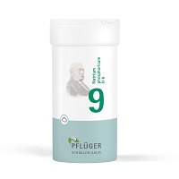 BIOCHEMIE Pflüger 9 Natrium phosphoricum D 6 Pulv. - 100g - Biochemie Pflüger