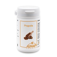 PROPOLIS+VITAMINE Kapseln - 60St