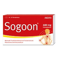 SOGOON 480 mg Filmtabletten - 20St