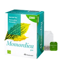 MOMORDICA PUR asiatischer Kräutertee Bio Salus Fbt - 40St