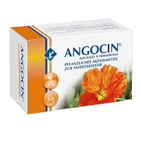ANGOCIN Anti Infekt N Filmtabletten - 500St - Halsschmerzen