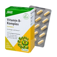 VITAMIN B KOMPLEX vegetabile Kapseln Salus - 60St