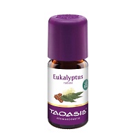 EUKALYPTUS ÖL Radiata Bio - 5ml