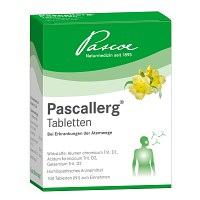 PASCALLERG Tabletten - 100St - Pascoe