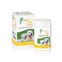 SYMBIOPET dog Ergänzungsfutterm.Pulver f.Hunde - 175g