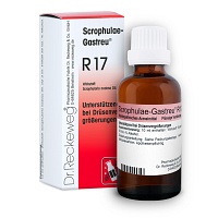 SCROPHULAE-Gastreu R17 Mischung - 22ml