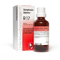 SCROPHULAE-Gastreu R17 Mischung - 50ml