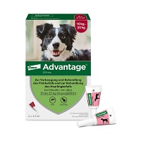 ADVANTAGE 250 Lösung f.Hunde 10-25 kg - 4St - Advantage