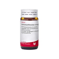CICHORIUM PANCREAS comp.Globuli - 20g