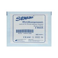 ERENA Vlies-Kompressen steril 10x10 cm - 2St