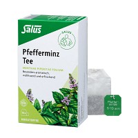 PFEFFERMINZ TEE Menthae piperitae folium Bio Salus - 15St