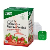 ERDBEEREN Früchtecocktail Salus Filterbeutel - 15St