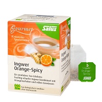 INGWER ORANGE Spicy Tee Salus Filterbeutel - 15St