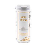 MSM 500 mg Kapseln - 100St
