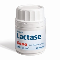 LACTASE 6.000 FCC Kapseln - 60St