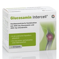 GLUCOSAMIN INTERCELL Kapseln - 120St