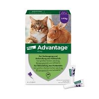 ADVANTAGE 80 mg f.gr.Katzen u.gr.Zierkaninchen - 4X0.8ml - Tier