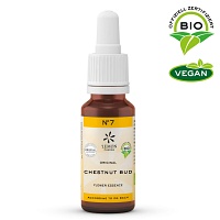 BACHBLÜTEN No.7 Chestnut Bud Bio - 20ml