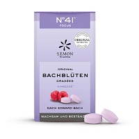 BACHBLÜTEN No.41 Konzentration Dragees n.Dr.Bach - 21g