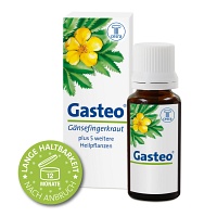 GASTEO Tropfen zum Einnehmen - 20ml - Magenbeschwerden