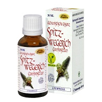 SPITZWEGERICH COMPOSITUM alchemistische Essenz - 30ml