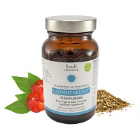 PLANTABRAIN Gehirnkapseln - 60St