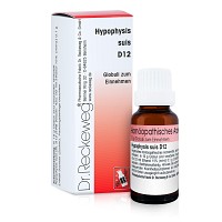 HYPOPHYSIS SUIS D 12 Globuli - 10g