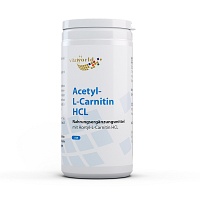 ACETYL-L-CARNITIN HCL Kapseln - 120St