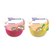 NUTRINI Creamy Fruit Mischkarton - 32X100g