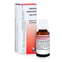 GLANDULA SUPRARENALIS suis D 12 Globuli - 10g