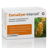 CURCUZYM-Intercell Kapseln - 100St