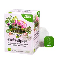 BAUERNGARTEN-Tee Glückseligkeit Früchtetee Salus - 15St