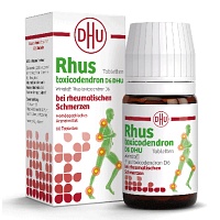 RHUS TOXICODENDRON D 6 Tabl.bei rheumat.Schmerzen - 80St - Rheuma & Arthrose