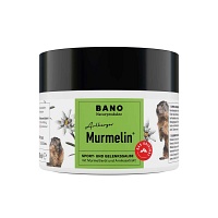 MURMELIN Arlberger Murmeltiersalbe - 200ml