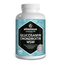 GLUCOSAMIN CHONDROITIN MSM Vitamin C Kapseln - 240St