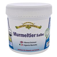 MURMELTIER SALBE im Tiegel - 200ml