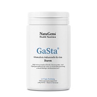 GASTA Pulver - 510g