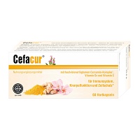 CEFACUR Hartkapseln - 60St
