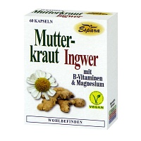 MUTTERKRAUT-INGWER Kapseln - 60St