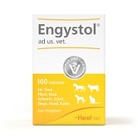 ENGYSTOL ad us.vet.Tabletten - 100St