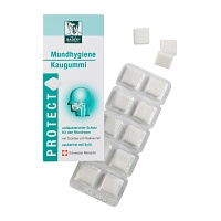 BADERS Protect Gum Mundhygiene - 20St