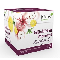 GLÜCKLICHER Moment Tee Pyramidenbeutel - 12X2.5g