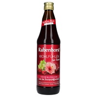 RABENHORST Wohlfühlen mit Eisen Saft - 700ml