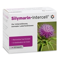 SILYMARIN-Intercell Kapseln - 120St