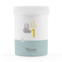 BIOCHEMIE Pflüger 1 Calcium fluoratum D 12 Pulver - 250g