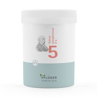 BIOCHEMIE Pflüger 5 Kalium phosphoricum D 6 Pulver - 250g
